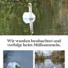 Update März 2025