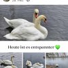 Update März 2025