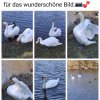 Update März 2025