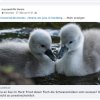 Wir sind traurig das beide Schwankinder verschwunden sind