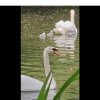 Willkommen 20.05 2025