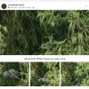 Willkommen 20.05 2025