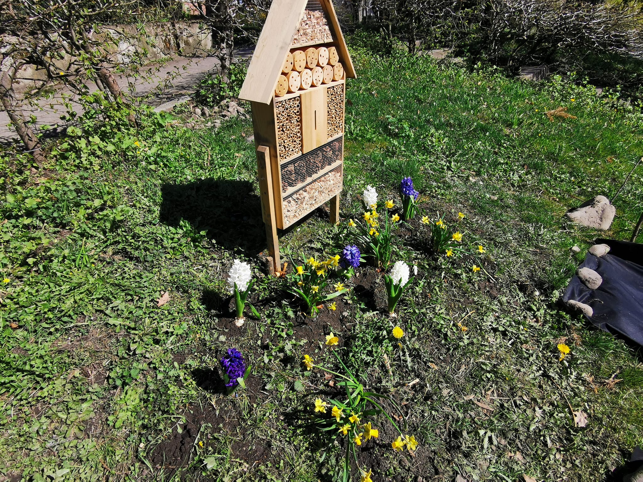 Danke an den Gärtner Claudius Pukrop aus Hörden, für die Spende für unsere Blühwiese.