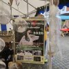 Gegen Spende, meldet Euch