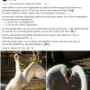Danke