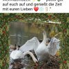 Schöne Vorweihnachtszeit gewünscht
