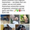 Notfallkontakt Hasen und Kaninchen