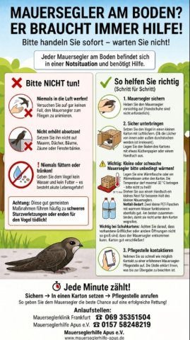 https://juesseehilfe.de/images/phocagallery/DiesundDas/2026/juli/thumbs/phoca_thumb_l_1.jpg