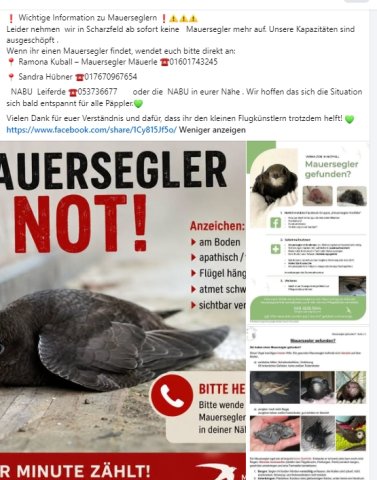 https://juesseehilfe.de/images/phocagallery/DiesundDas/2026/juli/thumbs/phoca_thumb_l_1.jpg