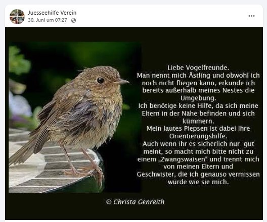 https://juesseehilfe.de/images/phocagallery/DiesundDas/2026/juli/thumbs/phoca_thumb_l_1.jpg