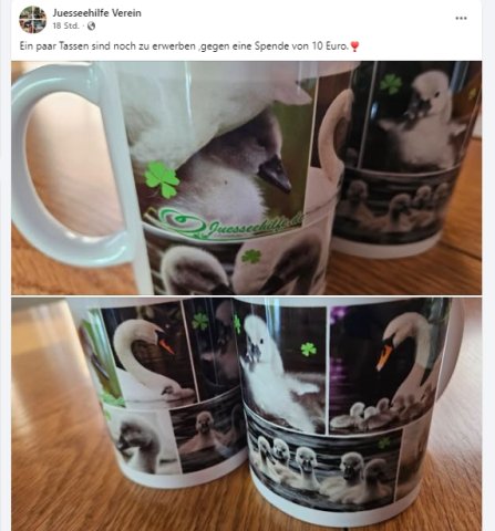 https://juesseehilfe.de/images/phocagallery/DiesundDas/2026/juli/thumbs/phoca_thumb_l_7.jpg