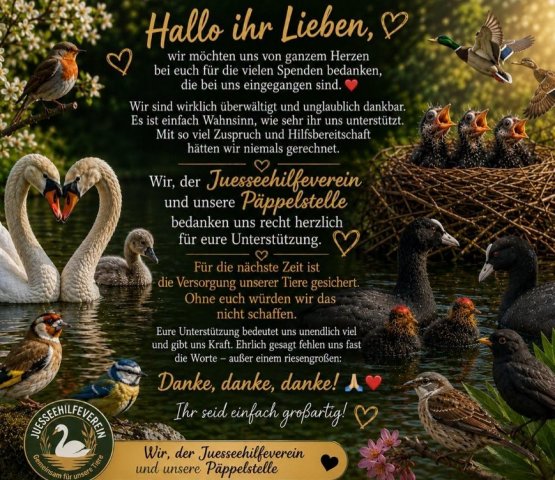 https://juesseehilfe.de/images/phocagallery/DiesundDas/2026/juli/thumbs/phoca_thumb_l_1.jpg