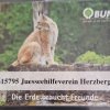 Da unser Verein seit einiger Zeit auch Mitglied im BUND ist ,teilen wir gerne den Link zur  BUND Homepage https://www.bund.net/