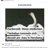 Danke