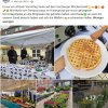 Update 11.05.