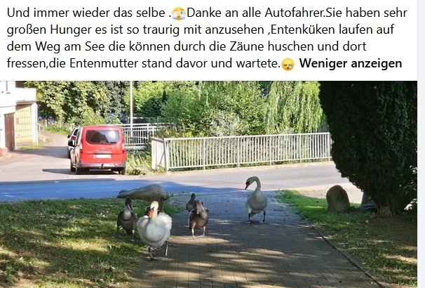 https://juesseehilfe.de/images/phocagallery/DiesundDas/WarnschilderZaun/thumbs/phoca_thumb_l_34.jpg