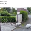 Warnschilder / Zerstörter Rasen / Zaun