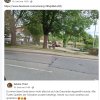 Aktion Warnschilder / Zaun / Rasen