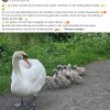Aktion Warnschilder / Zaun / Rasen