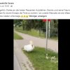 Aktion Warnschilder / Zaun / Rasen