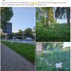 Aktion Warnschilder / Zaun / Rasen