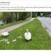 Aktion Warnschilder / Zaun / Rasen