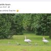 Aktion Warnschilder / Zaun / Rasen