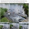 Weil der Rasen wieder gemäht wurde! Sie haben HUNGER