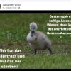 Aktion Warnschilder / Zaun / Rasen