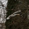 WinterJanuar 2026