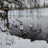 WinterJanuar 2026