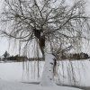 WinterJanuar 2026