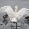 WinterJanuar 2026