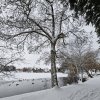 WinterJanuar 2026