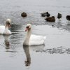 WinterJanuar 2026