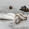 WinterJanuar 2026