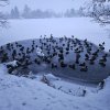 WinterJanuar 2026