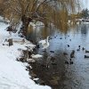 Winter Juessee Herzberg am Harz 2023