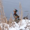 Winter Juessee Herzberg am Harz 2023