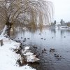 Winter Juessee Herzberg am Harz 2023