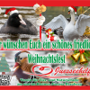 Frohe Weihnachten