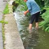 Geglückte Rettungsaktion Ente 08.07 2022 sie hatte einen Ring um den Schnabel