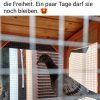 16.09. Update Notfälle / Findelkinder