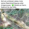 16.09. Update Notfälle / Findelkinder