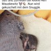 16.09. Update Notfälle / Findelkinder