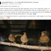 Update 25.08. Notfälle 