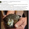 Update 25.08. Notfälle 