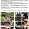 17.07. Update