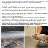 Notfälle beim Tierarzt 21.07.2025