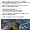 Aufnahmestopp 03.07.2025